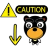 Black eyebrows bear 20