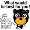 Black eyebrows bear 21