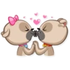 Zac The Pug 26