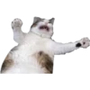ugly cats 23