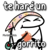 florksito coquita ᥫ᭡ 25