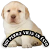 MEMES 6 CLÁSICO 22