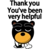 Black eyebrows bear 23