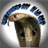 MEMES 6 CLÁSICO 24