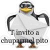 Pinwinoz 28