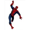 spiderman 24
