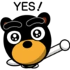 Black eyebrows bear 26