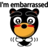 Black eyebrows bear 27