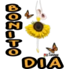 Buenos dias 8 flores 26