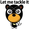 Black eyebrows bear 28