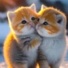 котята с искусственным интеллектом 29
