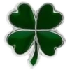 St. Patrick’s Day 15
