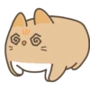 pumpkin and toasty 11