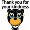 Black eyebrows bear 29