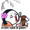 Variados Cute 2 Clásica 5