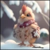 animalitos cute 6