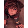 Sora kingdom Hearts 6