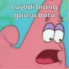 Patrick 2 5