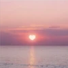 pink love 9