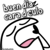 Florksito osito ᥫ᭡ 8