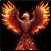 aves fénix 6