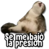 Se me bajó
la presion