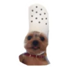 Ultimate Dog Pack 6