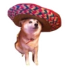 Ultimate Dog Pack 7