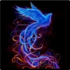 aves fénix 7