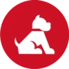 Pet World 11
