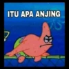 patrick 10