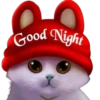 Good Night