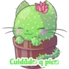 Cuidado apico