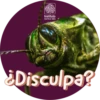 Conoce más fauna amazónica en www.sinchi.org.co 6