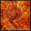 aves fénix 9