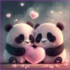 Panda Bebé 8