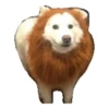 Ultimate Dog Pack 13