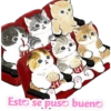Este se puso bueno