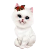 Gatitos 1 Clásica 15