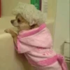 Dog 15