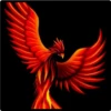 aves fénix 12