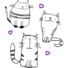 Pet World 15