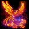 aves fénix 14