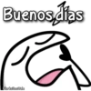 Florksito osito ᥫ᭡ 19