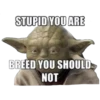 STUPID YOU ARE
BREED YOU SHOULD
NOT