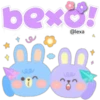 bubunny 11