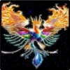 aves fénix 15