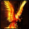 aves fénix 16