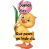 Buenos Días 2 Clásica 20