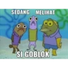 patrick 17